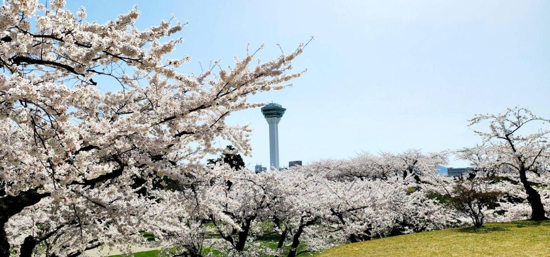 Yunohama Hotel Hakodate Exteriör bild